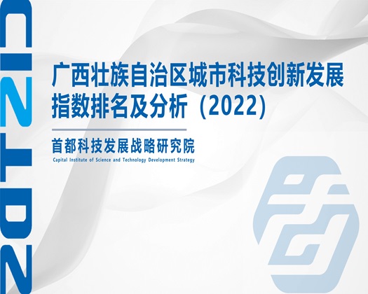 超逼免费看【成果发布】广西壮族自治区城市科技创新发展指数排名及分析（2022）